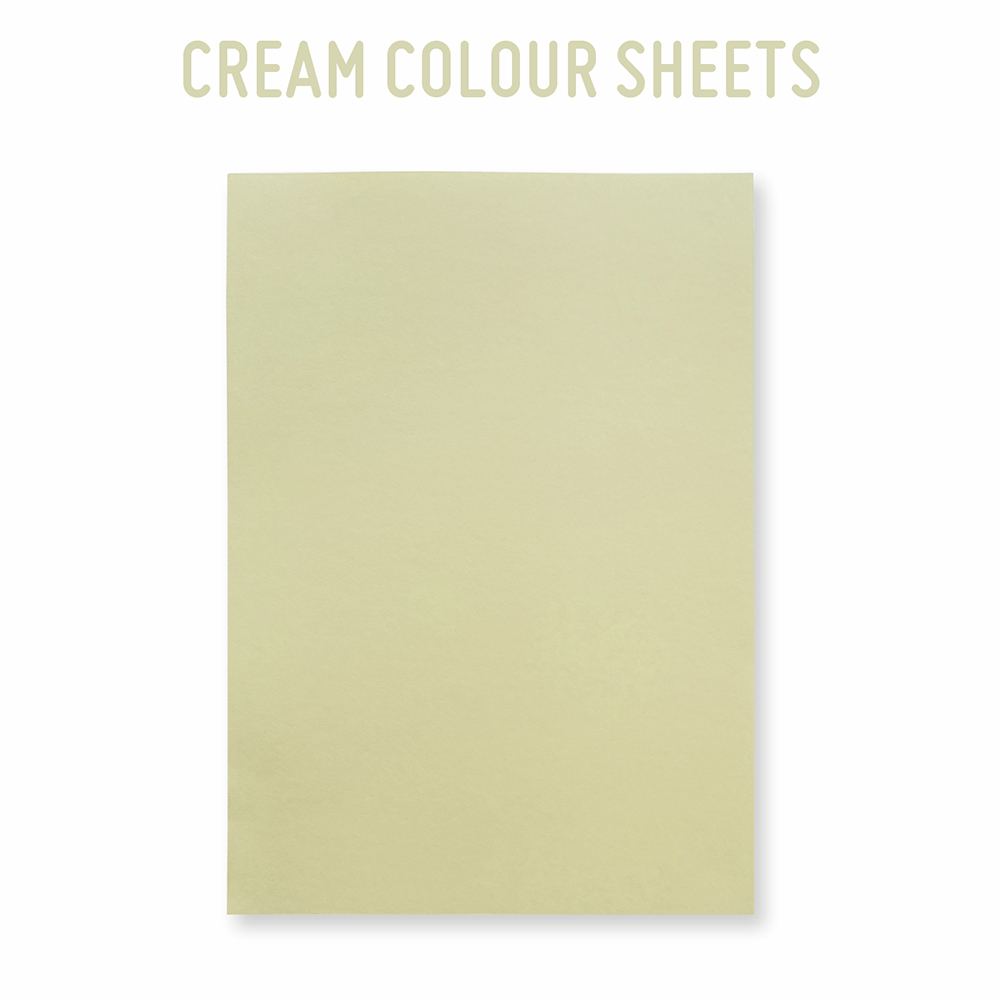 Pastel Colour Paper (Loose Sheet) - 160GSM